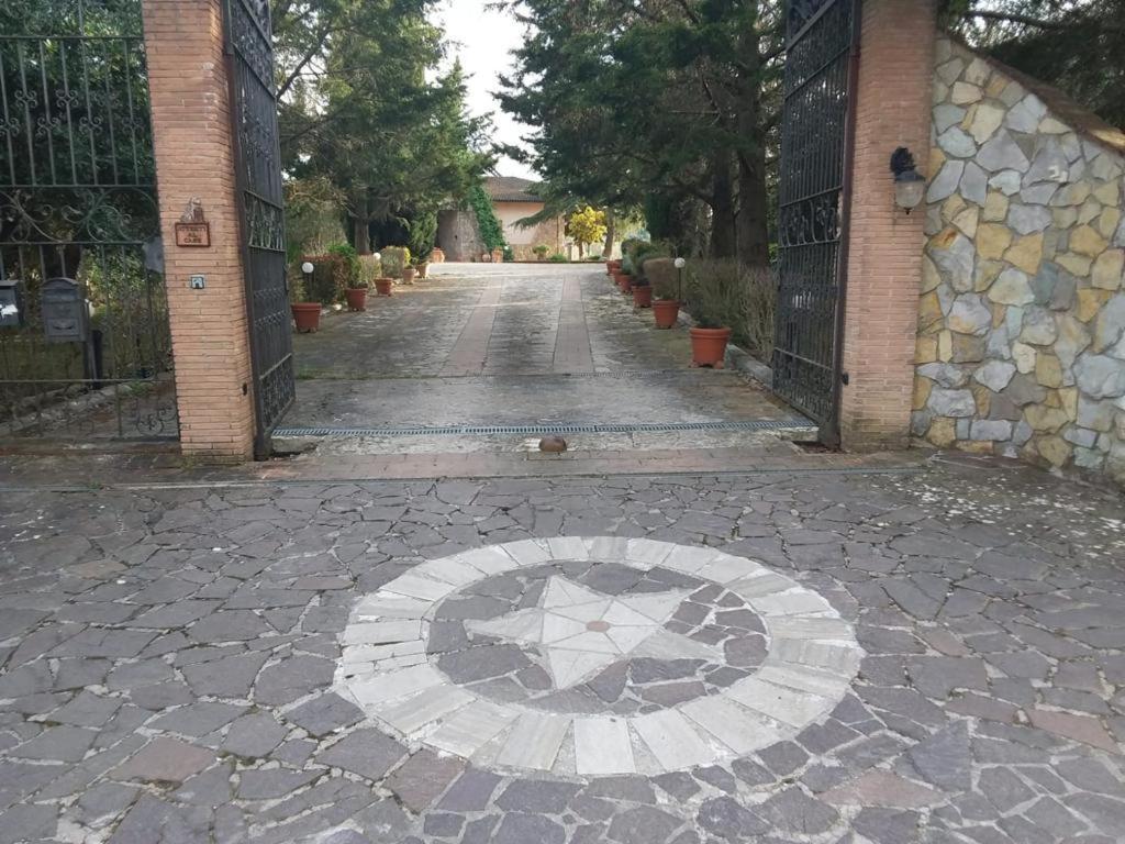 Trasimeno 2 Apartment Casamaggiore Екстериор снимка